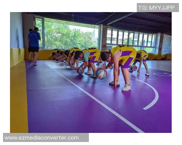 南京篮球队阵地战革新探索与实践的深度分析与展望 南京篮球队阵地战革新探索与实践的深度分析与展望