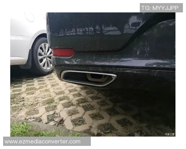 武汉网球队逆袭之路揭秘世界杯预选赛背后的奋斗与荣耀