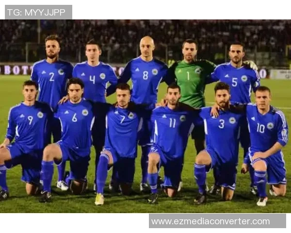 波黑足球明星阵容揭秘探索他们的辉煌成就与影响力