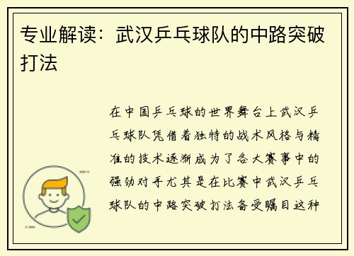 专业解读：武汉乒乓球队的中路突破打法