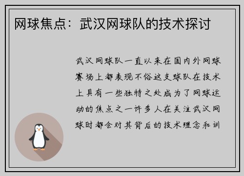 网球焦点：武汉网球队的技术探讨