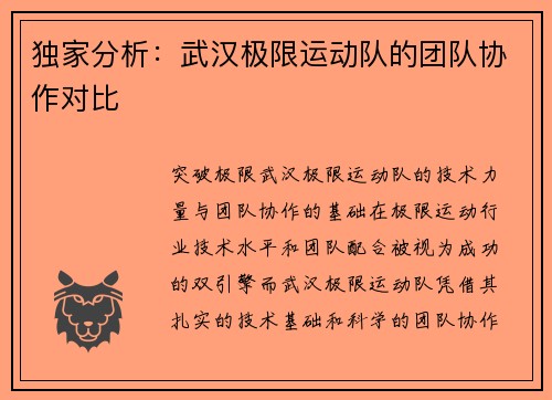 独家分析：武汉极限运动队的团队协作对比