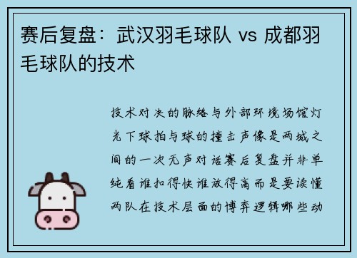赛后复盘：武汉羽毛球队 vs 成都羽毛球队的技术