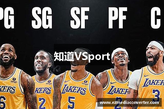 知道VSport